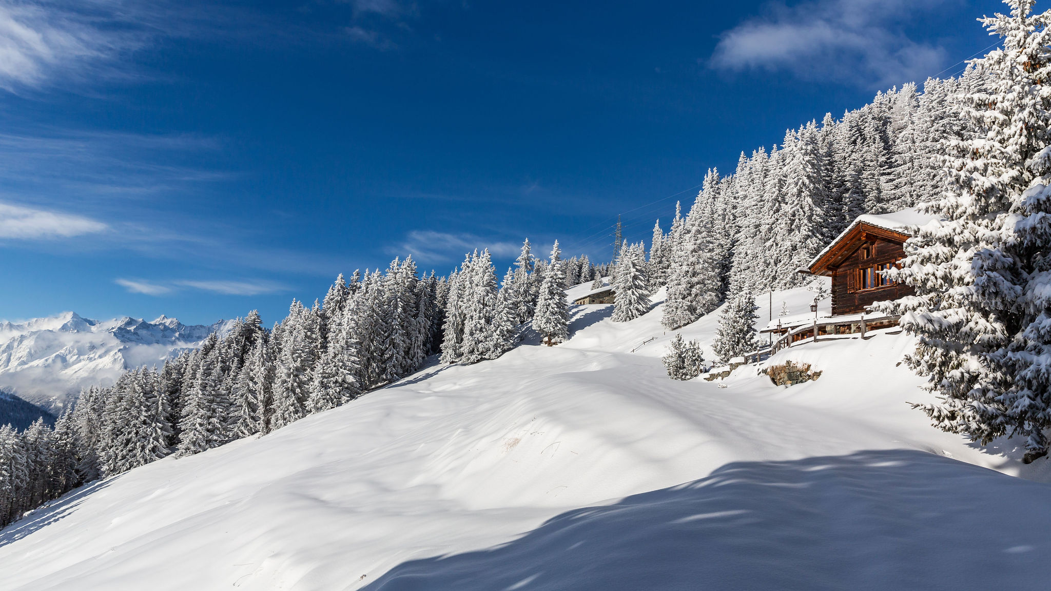 MRZ_ext_-1003-9895-MSKY